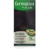 Фарматинт (1 флакон 135 мл коричневый оттенок)