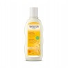 Champú de Avena Reparador, 190 ml. - Weleda